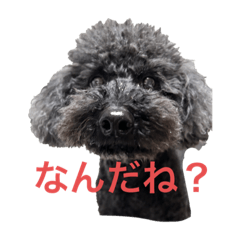 まっくろなアヤツ。