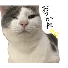 Mddbgswmdjtt'_20240112212502