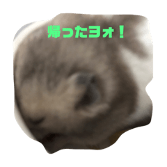 Yuutarou_20240112175056