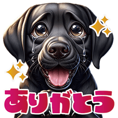 Black Labrador - Doggy Life