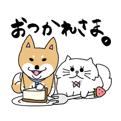 Shiba and Peru