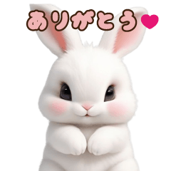 cute rabbit Sticker by keimaru
