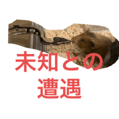 Takuya_20240112205425