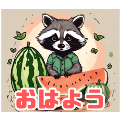 Cute Raccoon & Watermelon