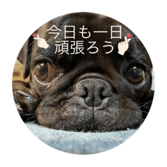 Maya_20240113004614