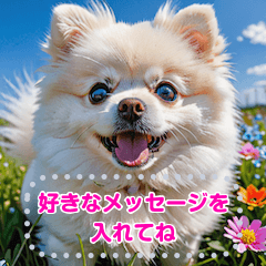 Pomeranian Dog Lover Stamps