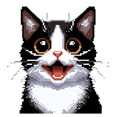 Pixel Art Black and white Bicolor Cat