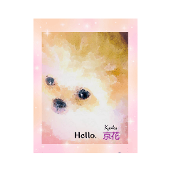 sakura_20240113174616