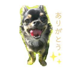 suzu_20240113175314