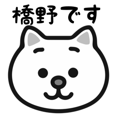 Hashino cat stickers