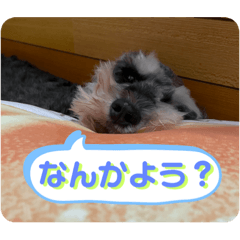 muumin_20240113190817