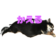 kana_20240113212028