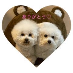 Mikiko_20240113200020