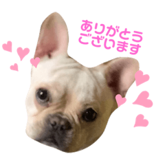 Kana_20240114120741
