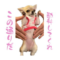 yuka_20240114130508