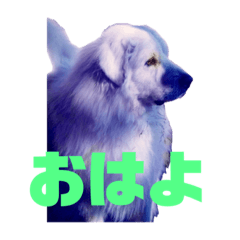 kana_20240114001426