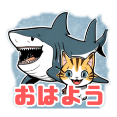 Shark & Cat Stickers