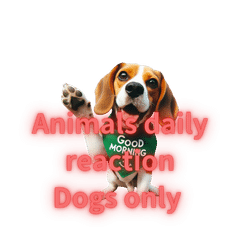 웃음 동물스탬프 - 24가지 표정(Dog only)