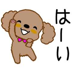 Moko huwa toy poodle sticker