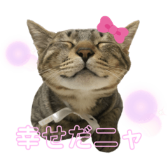 YUKA_20240114022112