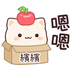 Star_Cat2_01555_BIN BIN