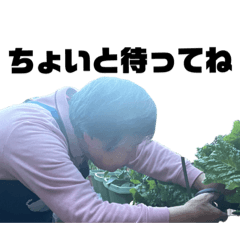 Kana_20240114142246