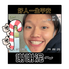 排球少女的白癡生活:(