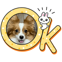 sakura_20240114174906