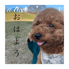 sakura_20240114183528