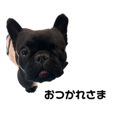nanairo_20240115093257