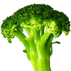 BIG! Broccoli