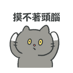 MOKI  cat (chinese)