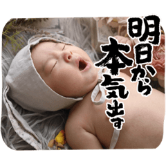 sakura_20240115032400