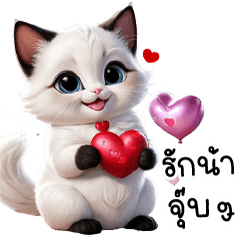Siamese Cat Very Cute