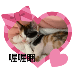 我是葳葳小公主