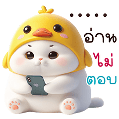 Chubby cat : Funny Chat
