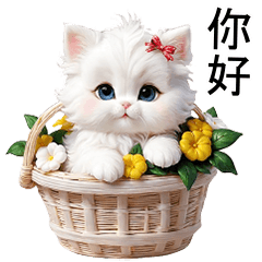 White Cat Special Cute (TWN)