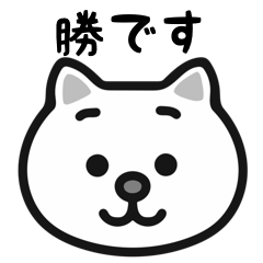 Kachi cat stickers