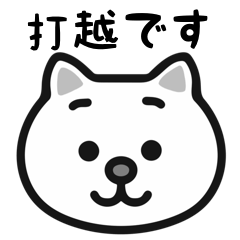 Uchikoshi cat stickers