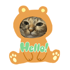 Meowmeow_20240116100940