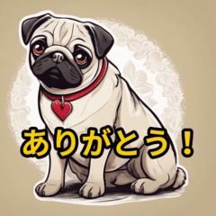 Everyday life with a pug