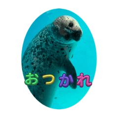 aozora_20240114231854