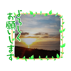 tomomi_20240115144628