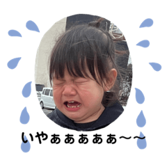 shoaya_20240115191133