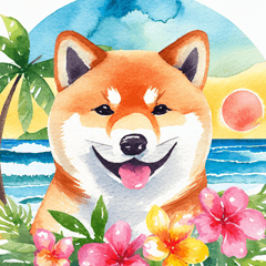 Tropical Shiba Inu