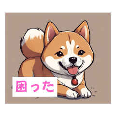 犬 可愛い Pochi