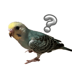 PIKAO_20240116124440