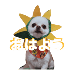 tanaka_20240116021921