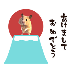 (resale)animation hamster kinkuma 2