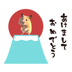 (resale)animation hamster kinkuma 2